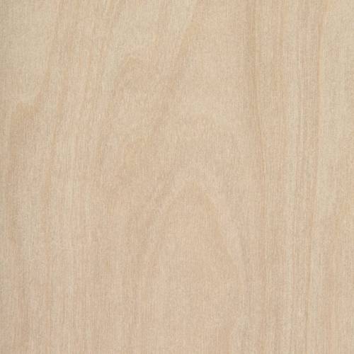 Raw Birch Ply Woodgrain